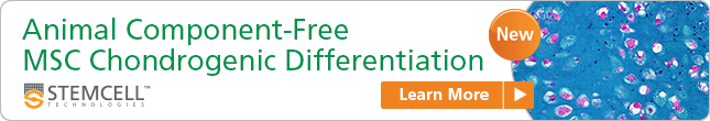 NEW: Animal Component-Free MSC Chondrogenic Differentiation. Learn More.